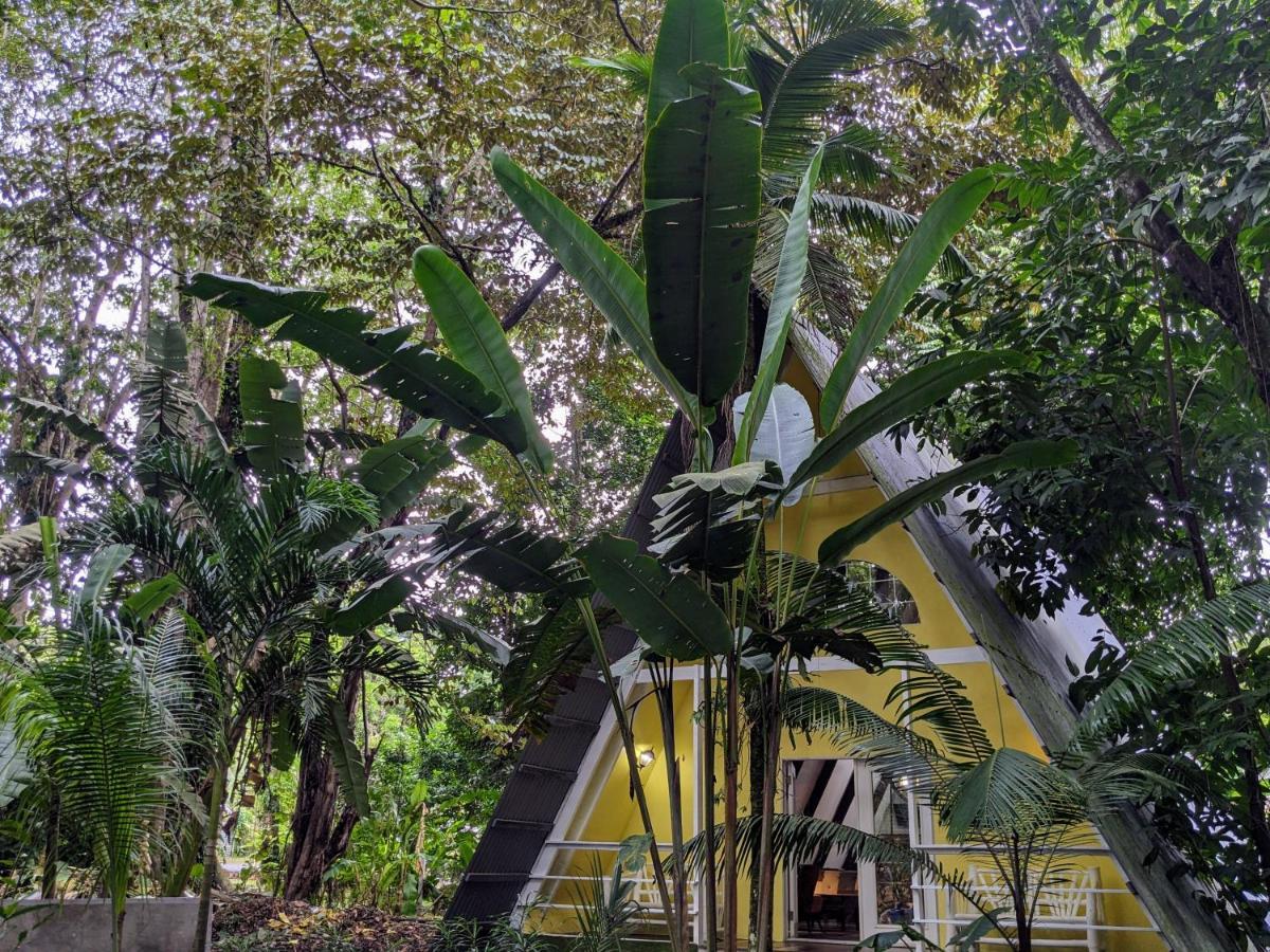 Caribbean Flow Puerto Viejo de Talamanca Екстериор снимка
