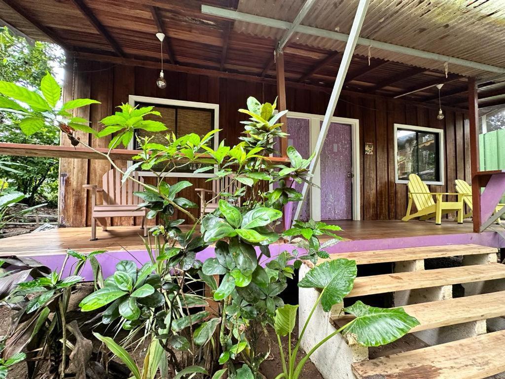 Caribbean Flow Puerto Viejo de Talamanca Екстериор снимка