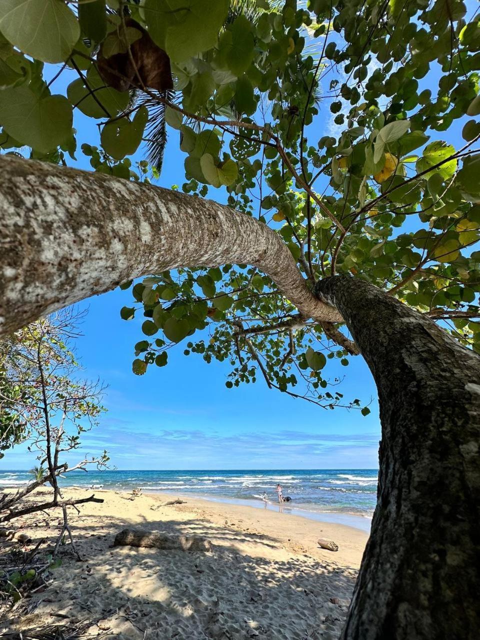Caribbean Flow Puerto Viejo de Talamanca Екстериор снимка